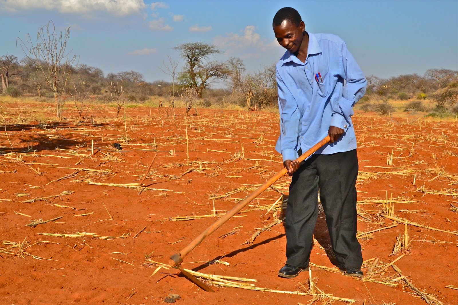 Four ways Africa is already seeing the effects of climate change – and what can be done about it